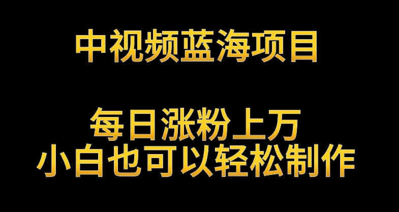 中视频蓝海项目，解读英雄人物生平，每日涨粉上万，小白也可以轻松制作，月入过万不是梦_80楼网创