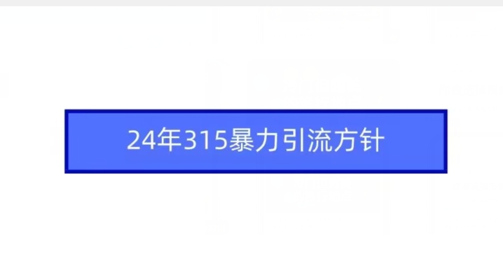 24年315暴力引流方针_80楼网创