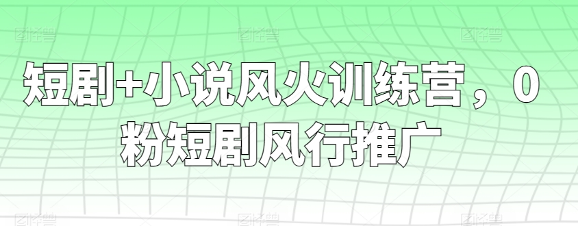 短剧+小说风火训练营，0粉短剧风行推广_80楼网创