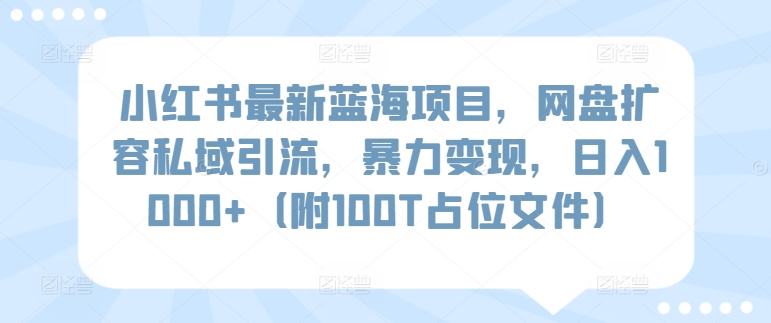 小红书最新蓝海项目，网盘扩容私域引流，暴力变现，日入1000+（附100T占位文件）_80楼网创