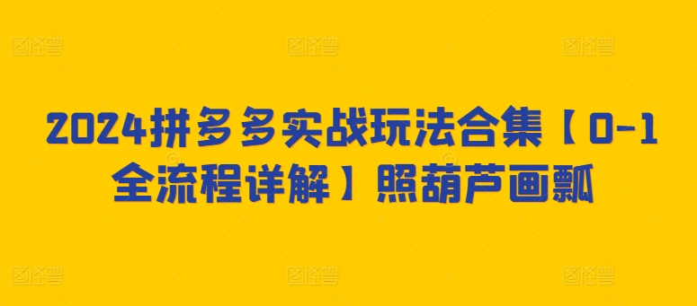 2024拼多多实战玩法合集【0-1全流程详解】照葫芦画瓢_80楼网创