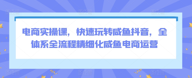 电商实操课，快速玩转咸鱼抖音，全体系全流程精细化咸鱼电商运营_80楼网创