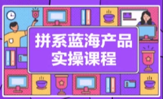 拼系冷门蓝海产品实操课程，从注册店铺到选品上架到流量维护环环相扣_80楼网创