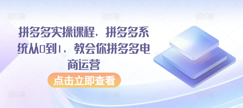 拼多多实操课程，拼多多系统从0到1，教会你拼多多电商运营_80楼网创