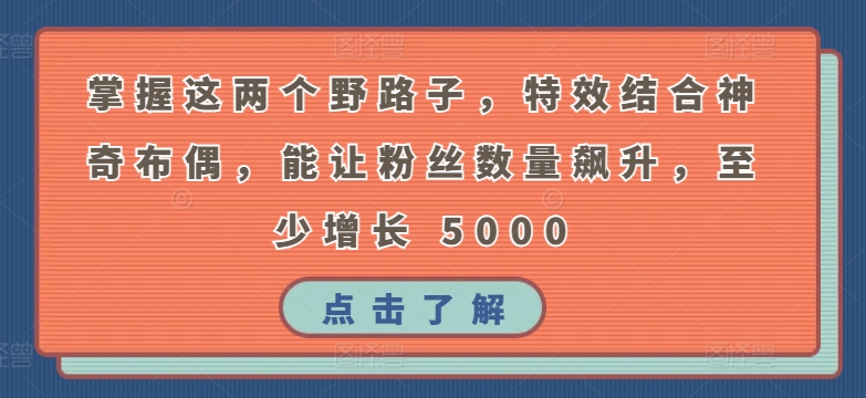 掌握这两个野路子，特效结合神奇布偶，能让粉丝数量飙升，至少增长 5000_80楼网创