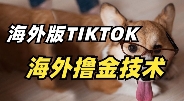 抖音海外版tiktok撸金技术，这个风口行业，赚钱真的不难_80楼网创