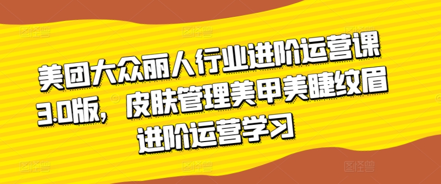 美团大众丽人行业进阶运营课3.0版，皮肤管理美甲美睫纹眉进阶运营学习_80楼网创