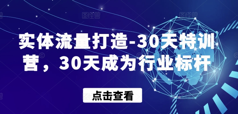 实体流量打造-30天特训营，30天成为行业标杆_80楼网创