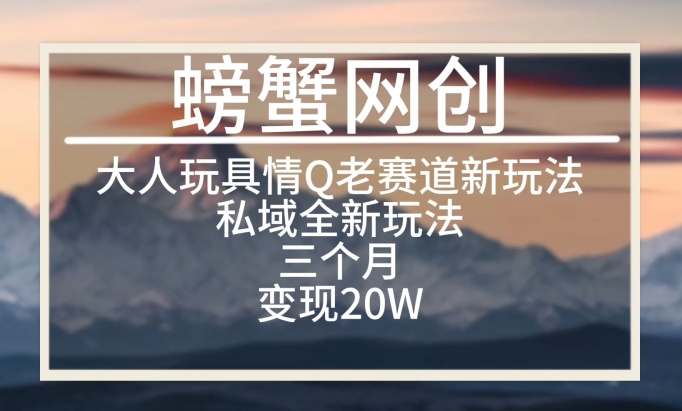 大人玩具情Q用品赛道私域全新玩法，三个月变现20W，老项目新思路_80楼网创