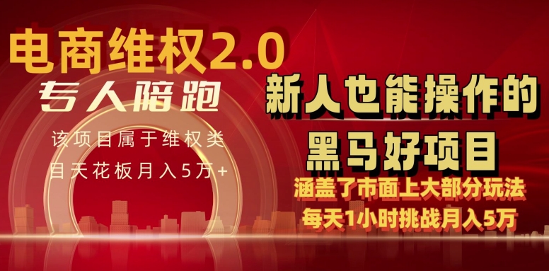 电商维权 4.0 如何做到月入 5 万+每天 1 小时新人也能快速上手【仅揭秘】_80楼网创