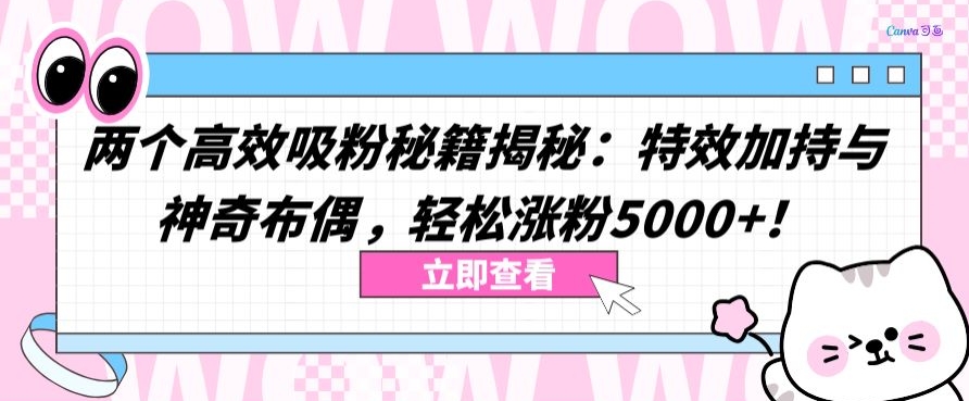 两个高效吸粉秘籍揭秘：特效加持与神奇布偶，轻松涨粉5000+_80楼网创