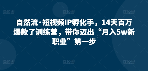 自然流·短视频IP孵化手，14天百万爆款了训练营，带你迈出“月入5w新职业”第一步_80楼网创