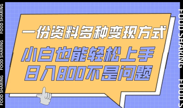 一份资料多种变现方式，小白也能轻松上手，日入800不是问题_80楼网创