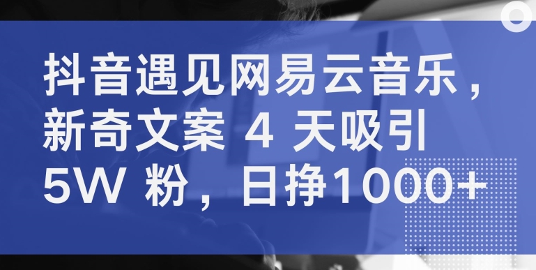 抖音遇见网易云音乐，新奇文案 4 天吸引 5W 粉，日挣1000+_80楼网创