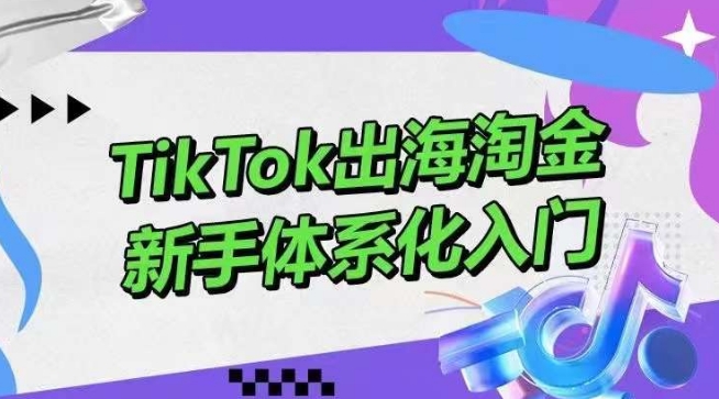 TikTok出海淘金，新手体系化入门，零基础快速入门，掌握短视频、直播带货等引流到变现的知识_80楼网创