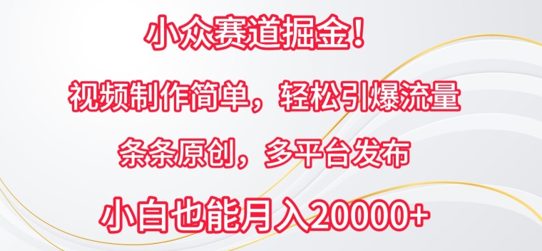 小众赛道掘金，视频制作简单，轻松引爆流量，条条原创，多平台发布_80楼网创