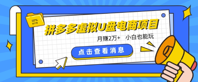 拼多多虚拟U盘电商红利项目：月赚2万+，新手小白也能玩_80楼网创