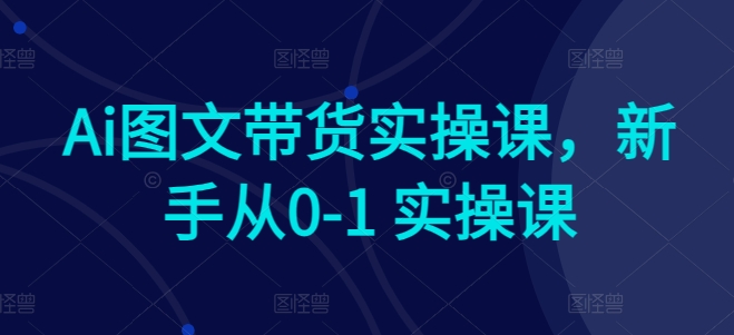 Ai图文带货实操课，新手从0-1 实操课_80楼网创