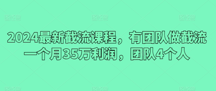 2024最新截流课程，有团队做截流一个月35万利润，团队4个人_80楼网创