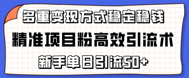 精准项目粉高效引流术，新手单日引流50+，多重变现方式稳定赚钱_80楼网创