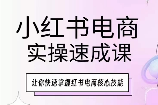 小红书电商实操速成课，让你快速掌握红书电商核心技能_80楼网创