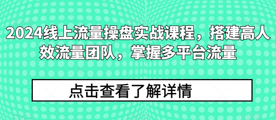 2024线上流量操盘实战课程，搭建高人效流量团队，掌握多平台流量_80楼网创