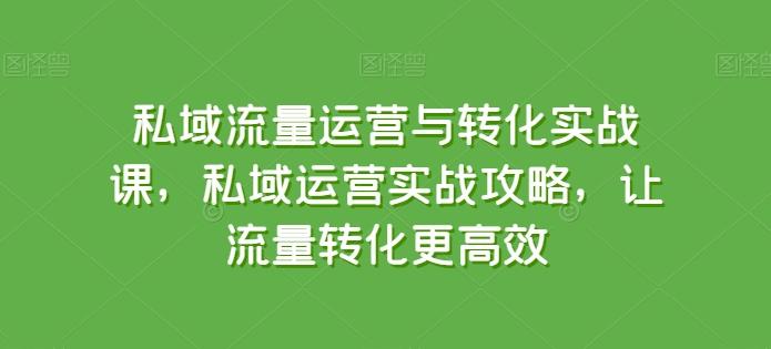 私域流量运营与转化实战课，私域运营实战攻略，让流量转化更高效_80楼网创