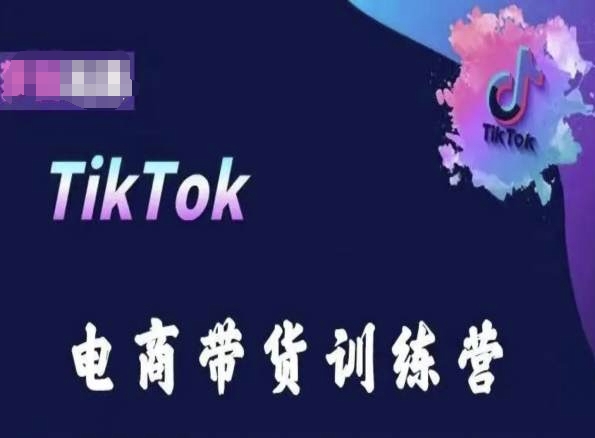 TikTok电商带货训练营，跟随时代潮流，跨境掘金_80楼网创