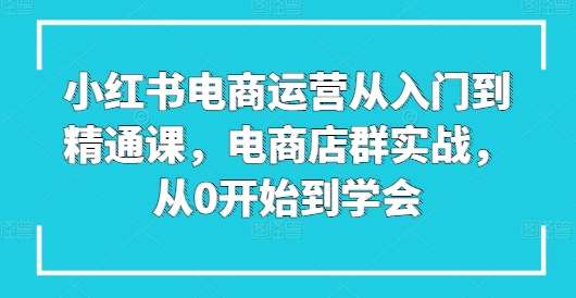 小红书电商运营从入门到精通课，电商店群实战，从0开始到学会