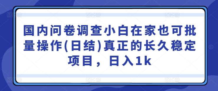 国内问卷调查小白在家也可批量操作(日结)真正的长久稳定项目，日入1k