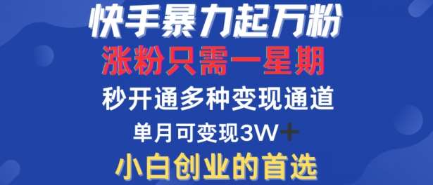 快手暴力起万粉，涨粉只需一星期，多种变现模式，直接秒开万合，单月变现过W