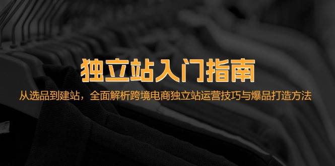 （12882期）独立站入门指南：从选品到建站，全面解析跨境电商独立站运营技巧与爆品…