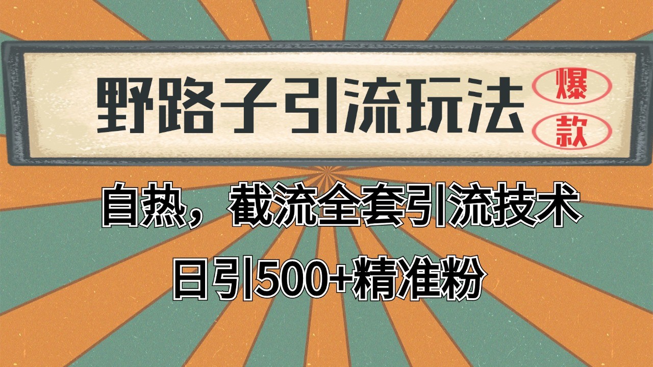 抖音小红书视频号全平台引流打法，全自动引流日引2000+精准客户