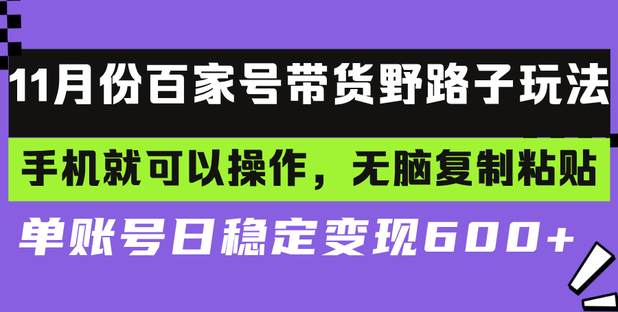 （13281期）百家号带货野路子玩法 手机就可以操作，无脑复制粘贴 单账号日稳定变现…