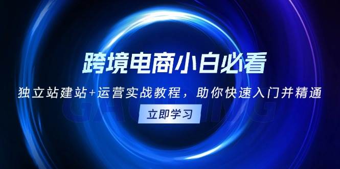 跨境电商小白必看！独立站建站+运营实战教程，助你快速入门并精通