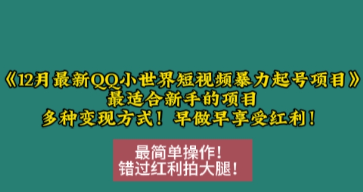 12月最新QQ小世界短视频暴力起号项目，最适合新手的项目，多种变现方式