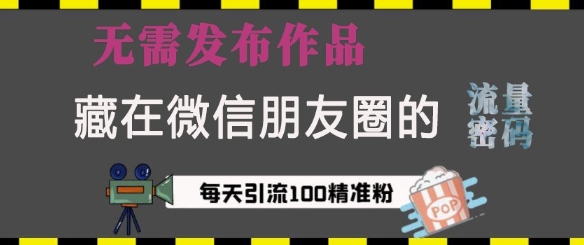 藏在微信朋友圈的流量密码，无需发布作品，单日引流100+精准创业粉