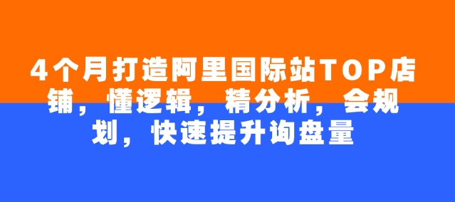 4个月打造阿里国际站TOP店铺，懂逻辑，精分析，会规划，快速提升询盘量