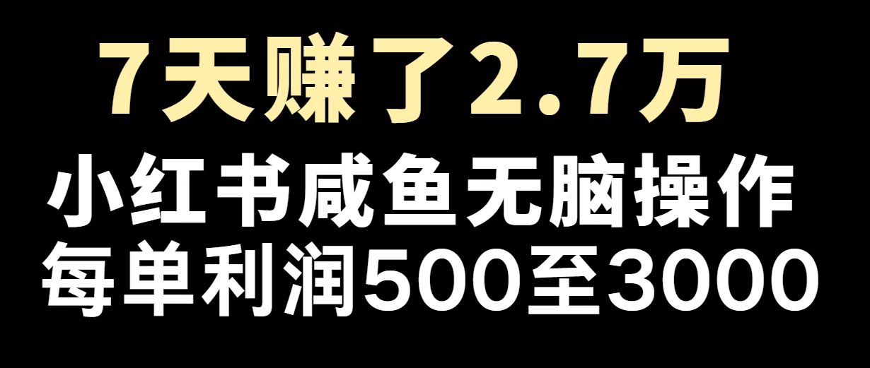 （14183期）最赚钱项目之一，2025爆火，逆风翻盘！