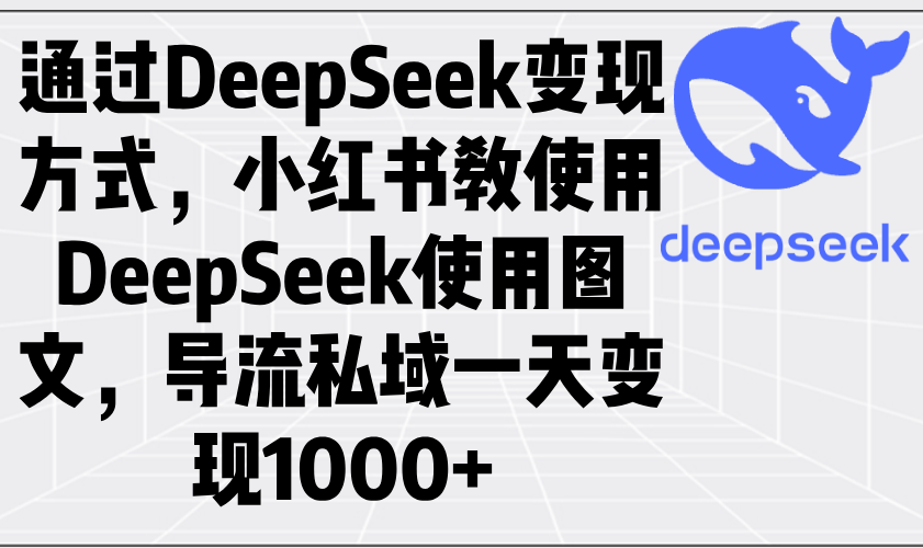 （14179期）通过DeepSeek变现方式，小红书教使用DeepSeek图文，导流私域一天变现1000+